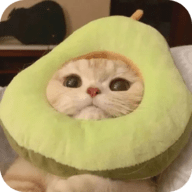 祼女直播appAPP应用